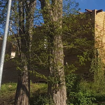 Abb. 6: Blick von Süden hoch zum Dienstgebäude der Eisdorfer Bahnhaltestation während der Abrissarbeiten im April 2019. Foto: Mike Leske Abb. 6: Blick von Süden hoch zum Dienstgebäude der Eisdorfer Bahnhaltestation während der Abrissarbeiten im April 2019. Foto: Mike Leske