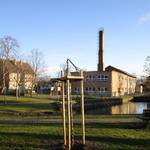 Vorsätzliche Beschädigungen von Bäumen in der Ortschaft Dornstedt ©Gemeinde Teutschenthal