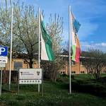 Neujahrsgrüße 2026 des Bürgermeisters